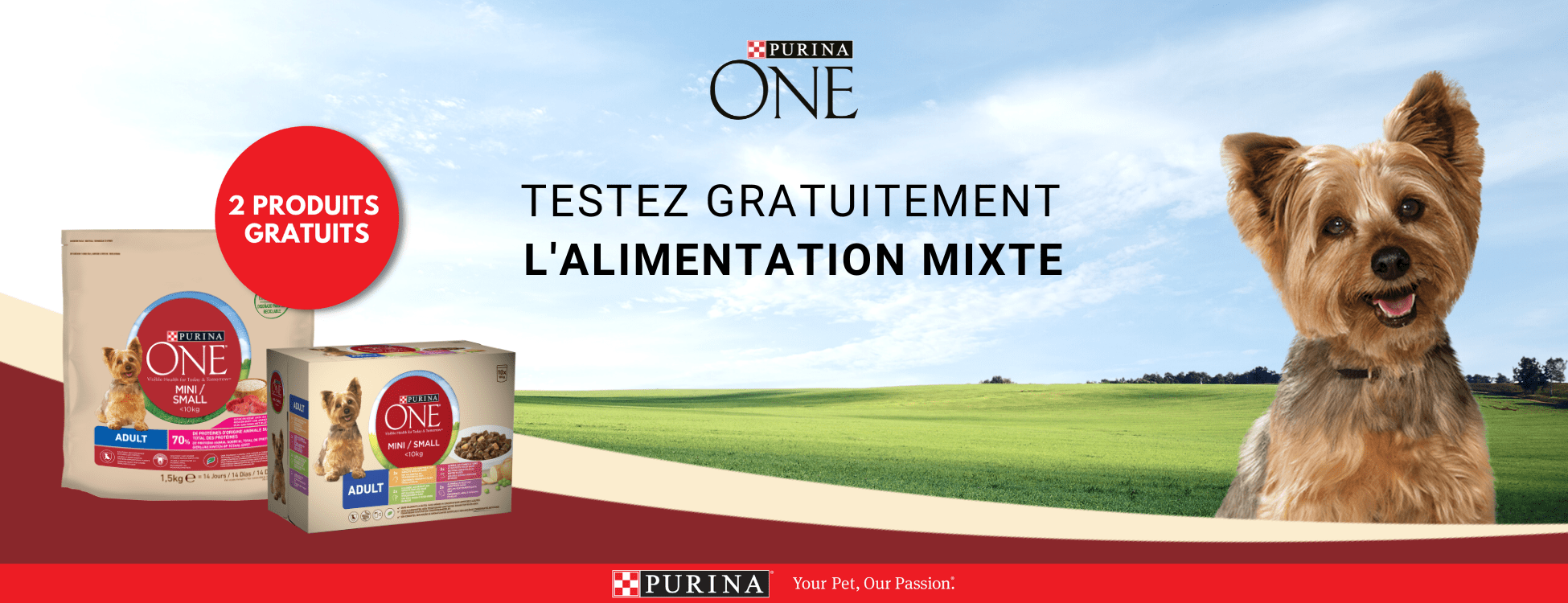 Copie de Header Desktop - 1950x750 PURINA ONE DOG Q4 2021 (2)-min
