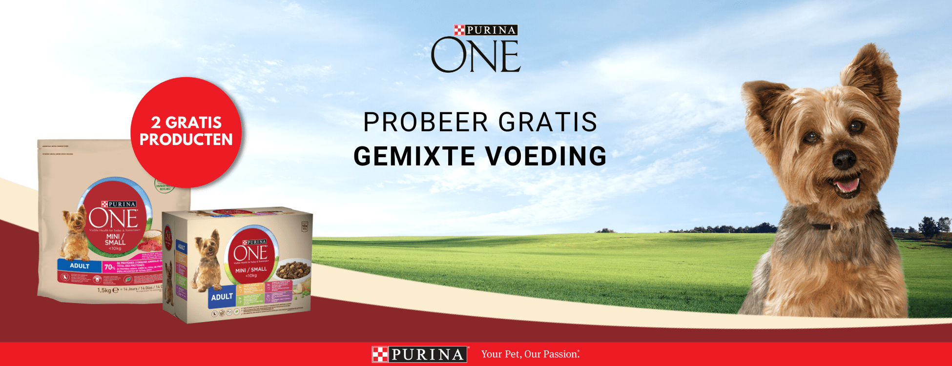 Copie de Header Desktop - 1950x750 PURINA ONE DOG Q4 2021 (3)-min